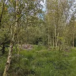 6 Person In Toftlund-by Traum * Arrild