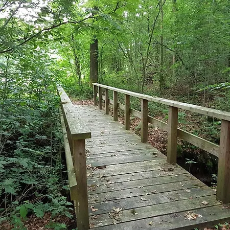 Vakantiehuis 6 Person In Toftlund-by Traum Arrild